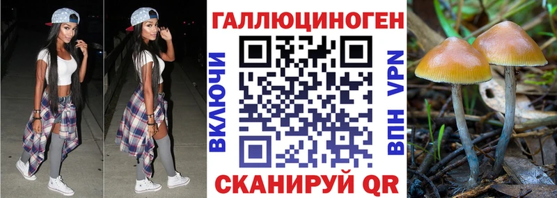 Псилоцибиновые грибы мицелий  как найти закладки  blacksprut рабочий сайт  Чайковский 