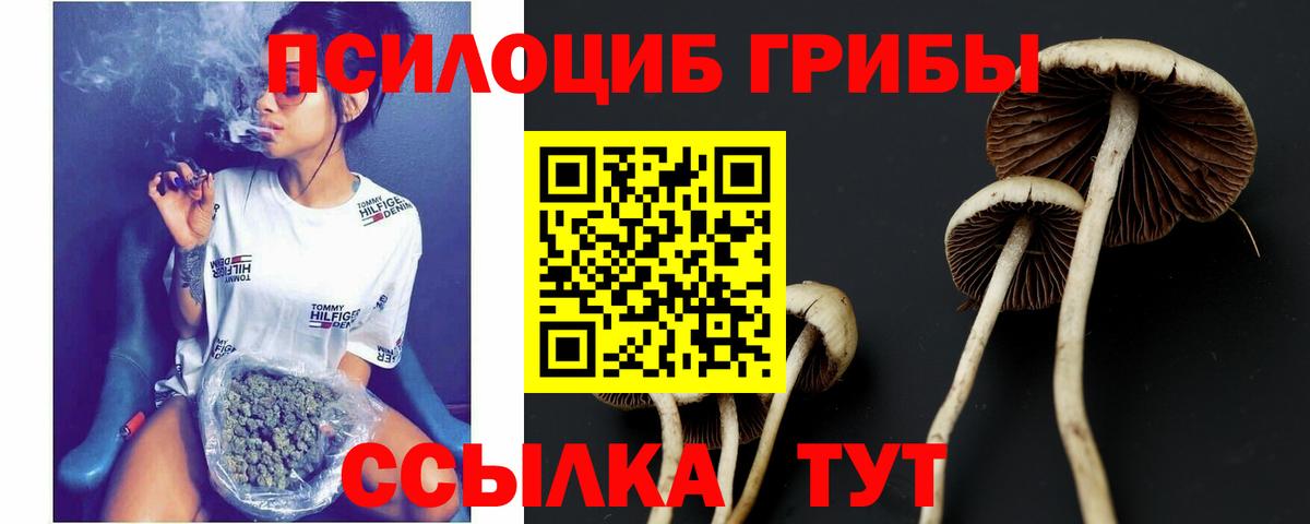 Псилоцибиновые грибы Magic Shrooms  Вход с VPN  Чайковский 